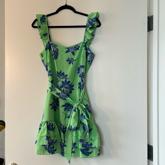 Likely Charlotte Mini Dress in Pistachio, 6, NWOT - Picture 2 of 7